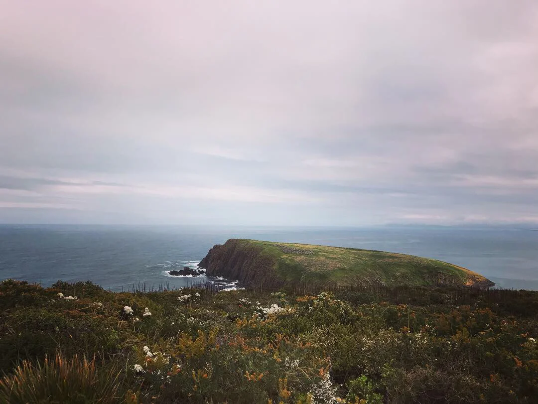 华体会官网入口-包含塔斯马尼亚联主场气氛火爆，球迷助威成强大后盾的词条