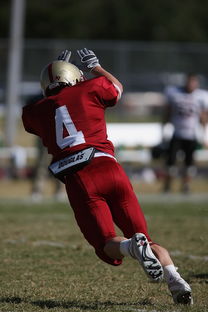 华体会入口-利物浦赛前体能检测通过，争冠筹备顺利